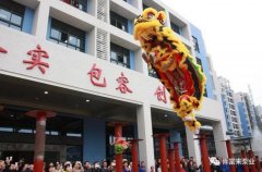 醒狮贺岁，九游网站网页版入口-九游(中国)2019年开工大吉